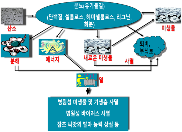 친환경축산을 위한 가축분뇨의 효율적인 관리 방안