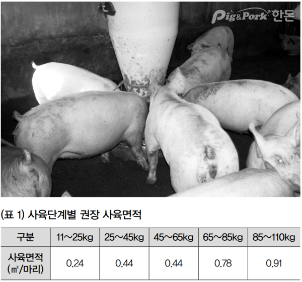 돼지고기 품질 개선을 위한 농장단계 사양관리