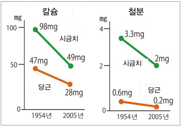 ▲ (그림 3) 야채 100g중 미네랄 함량 비교(1954~2005년) (출처 : 일본 과학기술청 연구보고서)