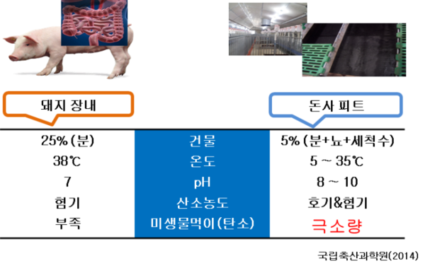 돈사 피트에 축적된 분뇨 고형물을 제거하는 이유와 방법