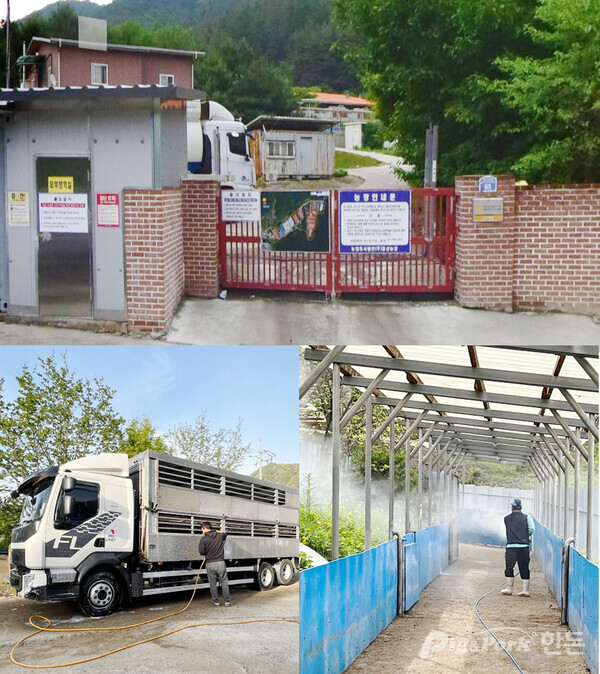🐓 치킨 농장, 더 나은 내일을 위한 Smart farming!