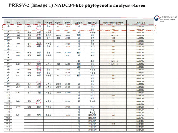 ▲ PRRSV-2 L1 NADC34-like 바이러스 국내 분석 결과 (자료 / 이향심 수의연구관 발표 자료 중 발췌)