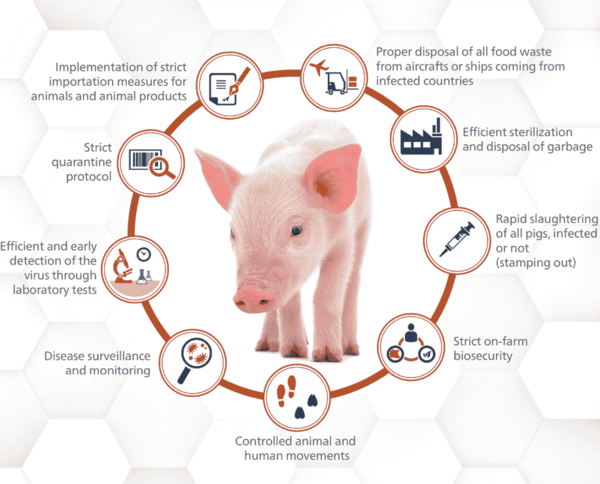 ▲ (그림 1) 안전한 돼지 생산을 위해 필요한 활동