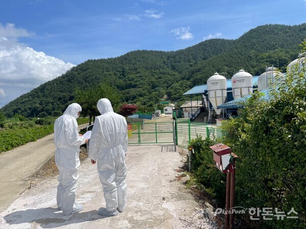 ▲ 경남도가 6월 10일부터 다음 달까지 양돈장 ASF 방역실태 점검에 나선다. (사진 / 경남도)