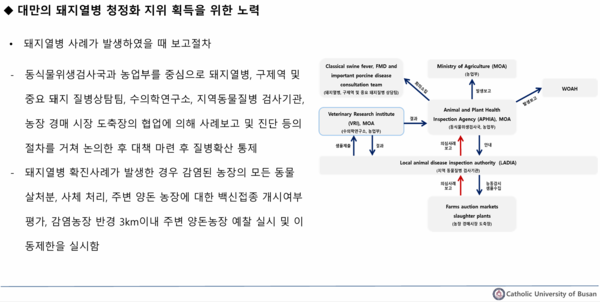 ▲ 대만의 돼지열병 발생 시 보고체계 (자료 / ‘돼지열병 청정화 로드맵 개발’-장경수 교수)