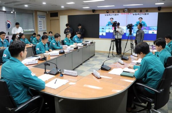 ▲ 지난 4일 김종구 농림축산식품부 농업혁신정책실장이 정부세종청사 농식품부 재해대책상황실에서 강원도 홍천군의 한 양돈장에서 ASF가 발생한 것과 관련해 중앙사고수습본부 회의를 열고 지자체 등 유관 기관과 대책을 논의하고 있다. (사진 / 농식품부)