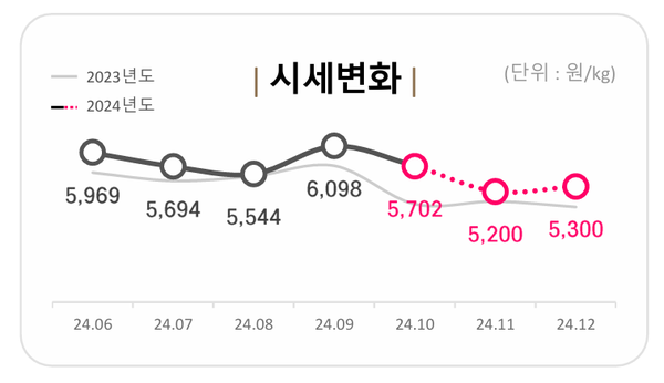 ▲ 최근 6개월간 한돈시세 변화 (자료 / 한이음 축산유통정보지 11월호)