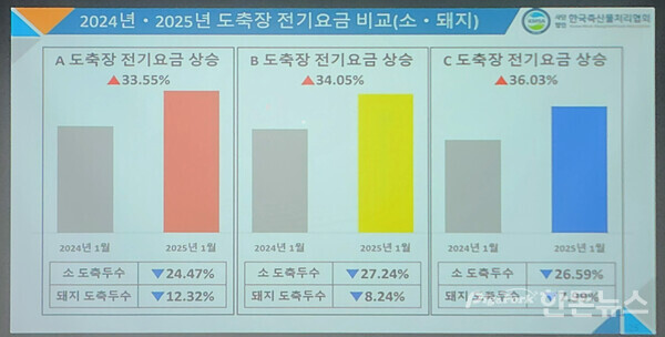 ▲ 전국 각 세 곳 도축장의 전기요금 이상 비율 및 소ㄱ