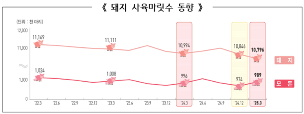 ▲ 지난 4년간 돼지 사육마릿수 동향 (자료 / 통계청)
