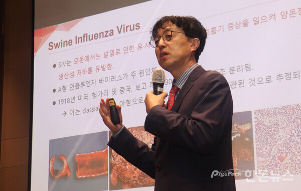 ▲ 지난 16일 중앙백신연구소 주최로 개최된 '2025년 수이샷 리:부스터 데이' 세미나에서 전북대학교 조호성 교수가 ‘국내외 돼지 인플루엔자 발생 상황’ 주제로 발표를 진행하고 있다. (사진 / 곽상민 기자)