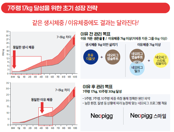 7주령 평균 18.49kg 달성… 230개 농장이 증명한 초기성장의 기준