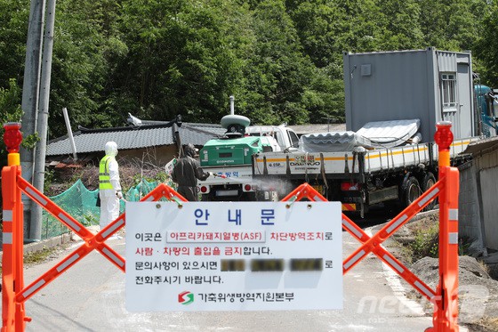 ▲ 경북 영천시 화남면의 한 양돈장에서 아프리카돼지열병(ASF)이 발생한 가운데 14일 가축위생방역지원본부 관계자들이 농장 출입을 통제한 채 방역을 강화하고 있다. 