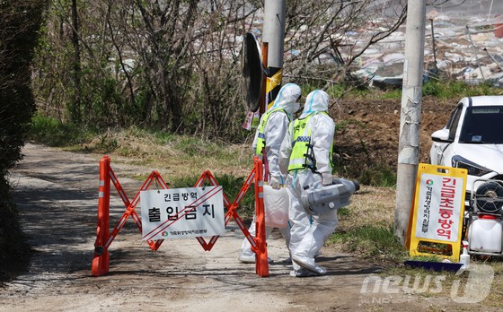 ▲ 15일 구제역이 발생한 전남 무안군 일로읍 한 양돈장에 방역본부 초동방역팀이 출입통제와 소독을 진행하고 있다. (사진 / 뉴스1)